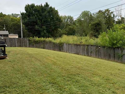 Lawn Care service in ,
