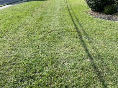 Lawn Care service in Collinsville, 62234