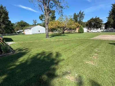Lawn Care service in Hopewell, 23860
