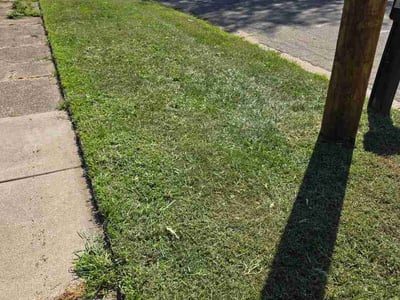 Lawn Care service in Battle Creek, 49017