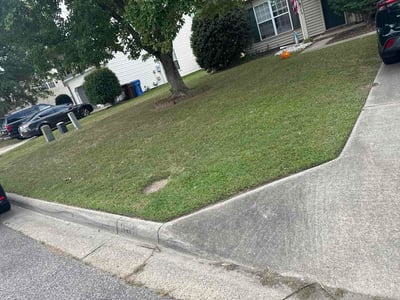 Lawn Care service in Chesapeake, 23320