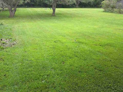 Lawn Care service in Battle Creek, 49017