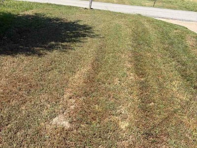 Lawn Care service in Jonesboro, 72401