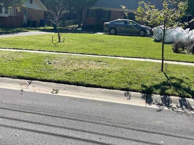 Lawn Care service in Germantown, 20874