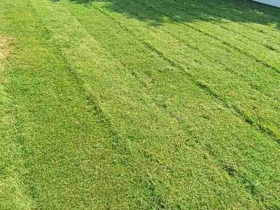 Lawn Care service in Sedro Woolley, 98284