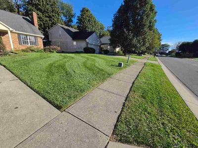 Lawn Care service in Batavia, 45103