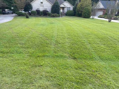 Lawn Care service in New Bern, 28560