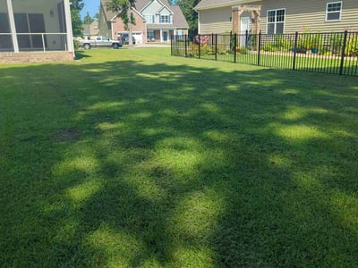 Lawn Care service in New Bern, 28560