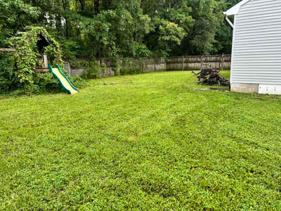 Lawn Care service in Smithfield, 23430