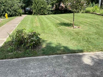 Lawn Care service in Fairfield, 45014