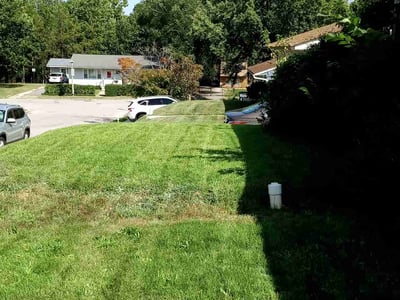 Lawn Care service in Halethorpe, 21227
