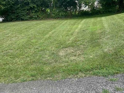 Lawn Care service in Hamilton, 45011