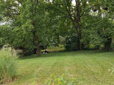 Lawn Care service in Hamilton, 45011