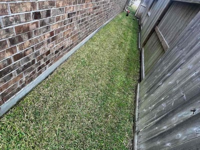 Lawn Care service in Napa, 94559
