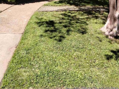 Lawn Care service in Arlington, 38002