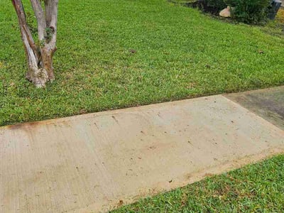 Lawn Care service in Hutto, 78634