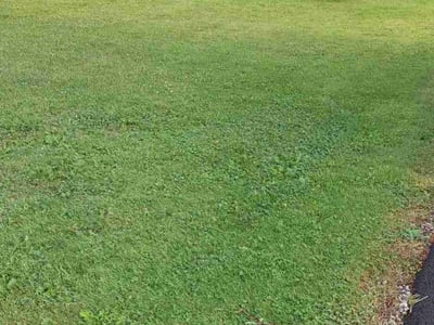 Lawn Care service in Sheffield Lake, 44054