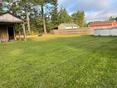 Lawn Care service in Staunton, 24401