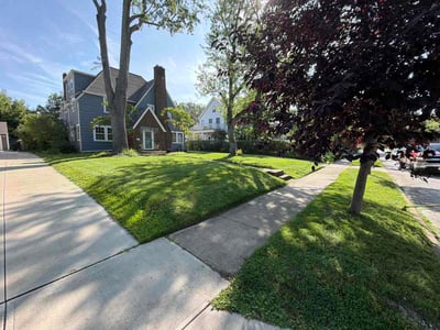 Lawn Care service in Seville, 44273