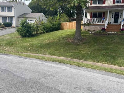 Lawn Care service in Springfield, 22150