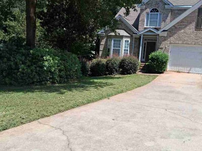 Lawn Care service in Princeton, 24740
