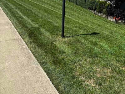 Lawn Care service in North Ridgeville, 44039