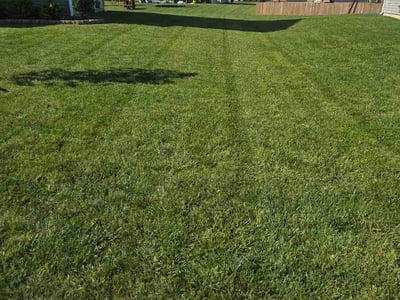 Lawn Care service in Ashville, 43103