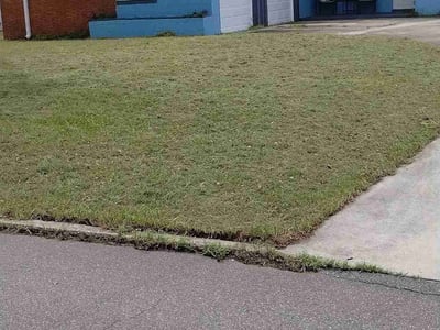 Lawn Care service in North Attleboro, 02760