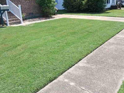 Lawn Care service in Danville, 24541