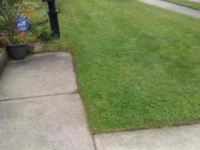 Lawn Care service in Painesville, 44077