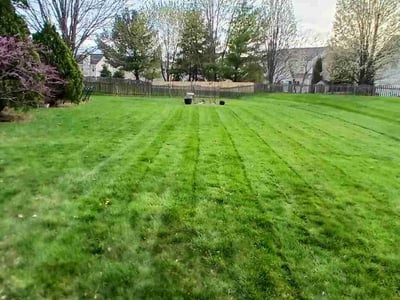 Lawn Care service in Battle Ground, 98604