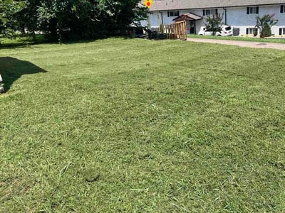 Lawn Care service in Corryton, 37721