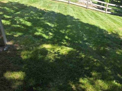 Lawn Care service in Milford, 45150