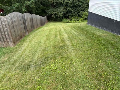 Lawn Care service in Corryton, 37721