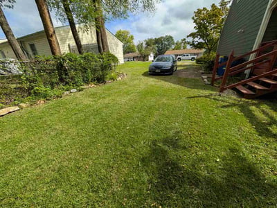 Lawn Care service in Tysons, 22182