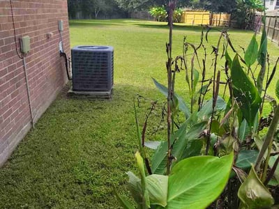 Lawn Care service in Schertz, 78154