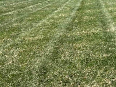 Lawn Care service in Dublin, 43017