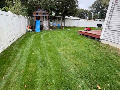 Lawn Care service in Swansea, 02777