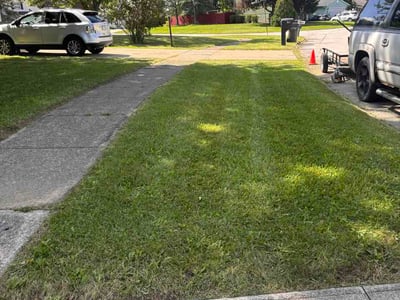 Lawn Care service in Wellington, 44090