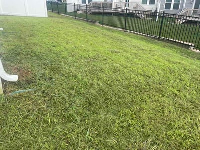 Lawn Care service in White Bluff, 37187