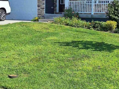 Lawn Care service in Westminster, 21157