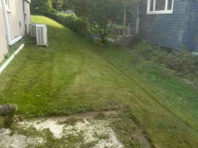 Lawn Care service in Forest Hill, 21050