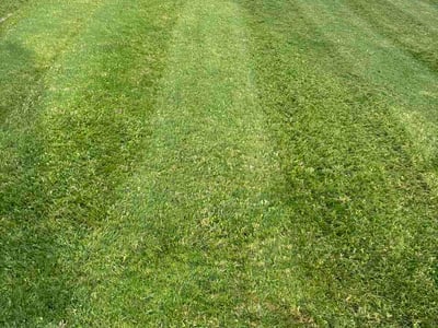 Lawn Care service in Rocky River, 44116