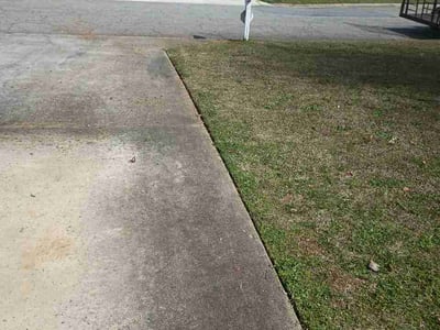 Lawn Care service in London, 40741