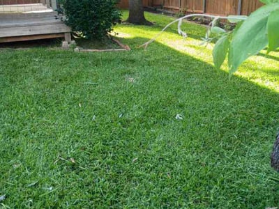 Lawn Care service in Elgin, 78621