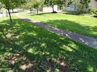 Lawn Care service in Bethel Park, 15102