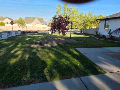 Lawn Care service in South Jordan, 84095