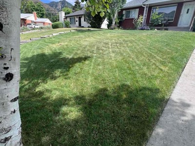 Lawn Care service in South Jordan, 84095