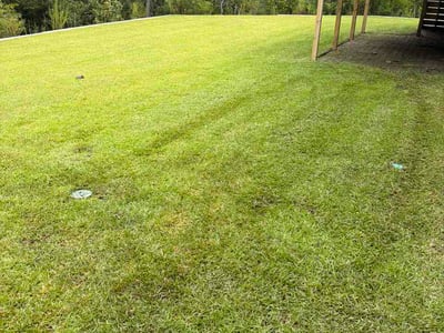 Lawn Care service in Longs, 29568