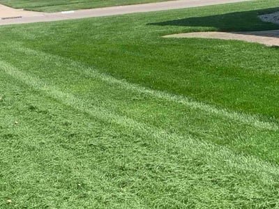 Lawn Care service in Lorain, 44052
